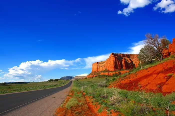 Arizona Rental Application