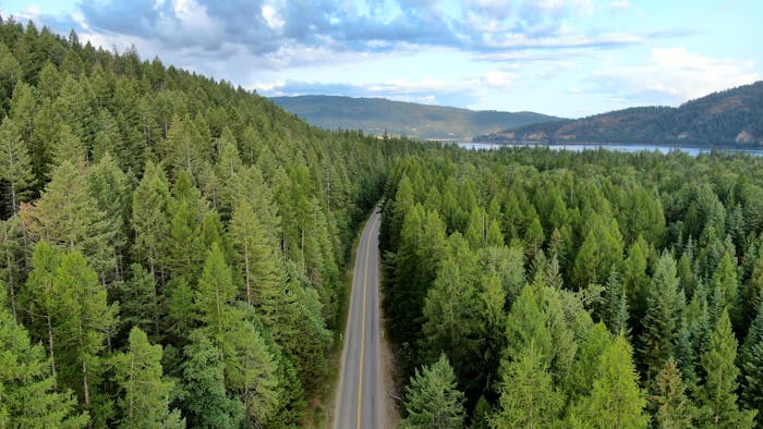Bird's eye view of a road cutting through evergreen trees in Idaho