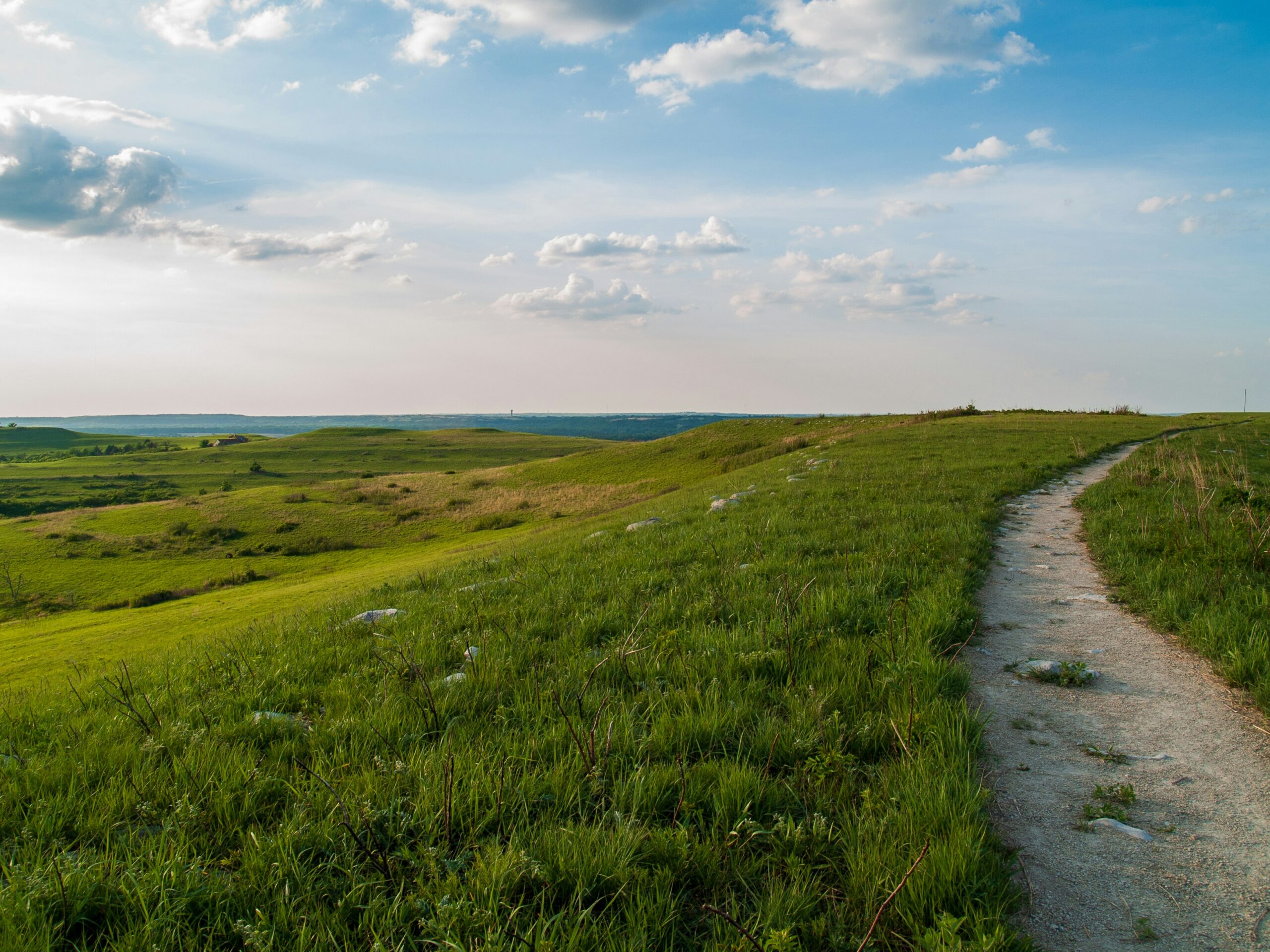 Kansas Rental Application